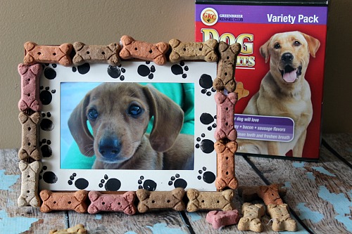 What better way to treasure your pet than with a cute picture in an equally cute frame! Make this DIY dog bone frame to display your adorable dog's photo!