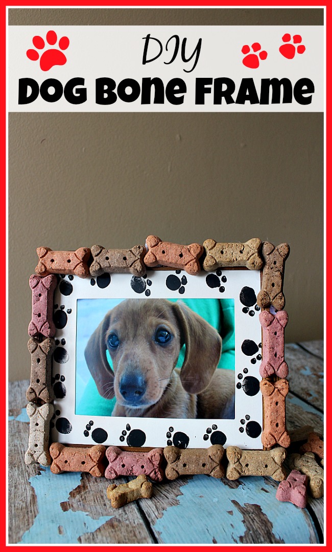 What better way to treasure your pet than with a cute picture in an equally cute frame! Make this DIY dog bone frame to display your adorable dog's photo!