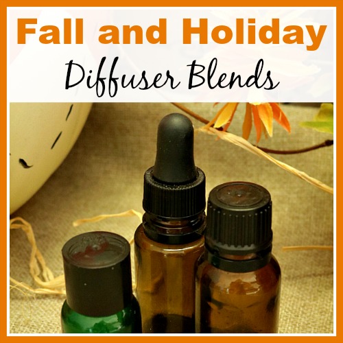 November Diffuser Blends - Holiday Necessities