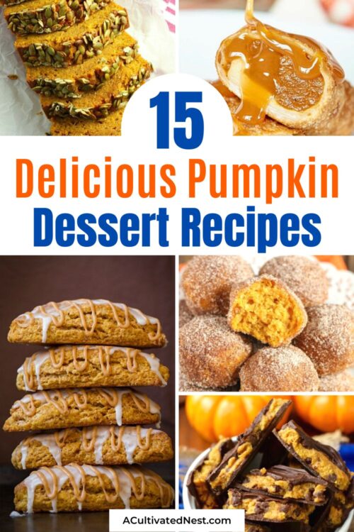 15 Delicious Pumpkin Dessert Recipes- A Cultivated Nest