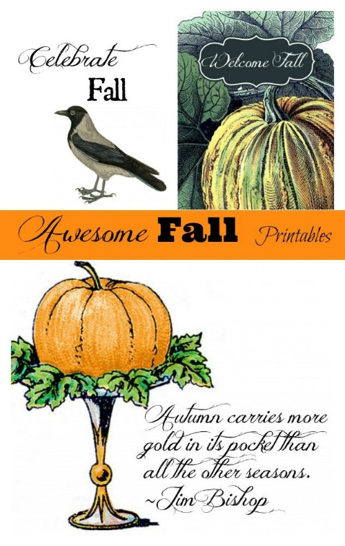 20 Pretty Free Fall Printables- A fun and frugal way to update your home's décor for fall is with free printables! This set even includes Thanksgiving and Halloween free printables, too! | #fall #Halloween #Thanksgiving #freePrintables #ACultivatedNest