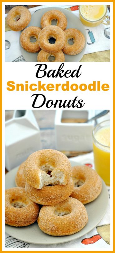 Baked Snickerdoodle Donuts