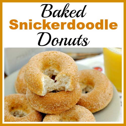 Baked Snickerdoodle Donuts