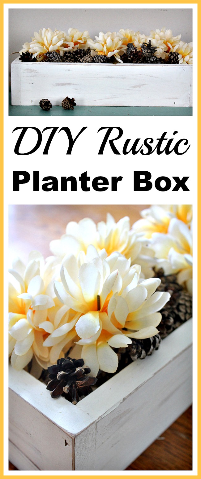 DIY Rustic Planter Box