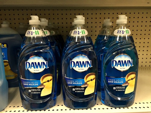 20 Frugal Ways to Use Dawn Dish Soap- Did you know that Dawn can be used for much more than just dishes? Check out these frugal ways to use Dawn dish soap! They can save you a lot of money! | money saving tips, frugal living, money saving ideas, other uses for Dawn dish soap, homemade cleaner, DIY