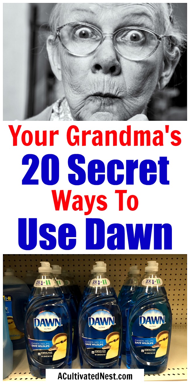 20 Frugal Ways to Use Dawn