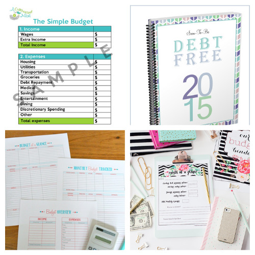 25 Free Budget Binder Printables- An easy way to get your budget binder set up is with free printable budgeting forms! Here are some great ones to get you started keeping track of your finances! | Living on a budget, frugal living, budget binder, financial printables #waysToSaveMoney #moneySavingTips #budgeting #freePrintables #ACultivatedNest