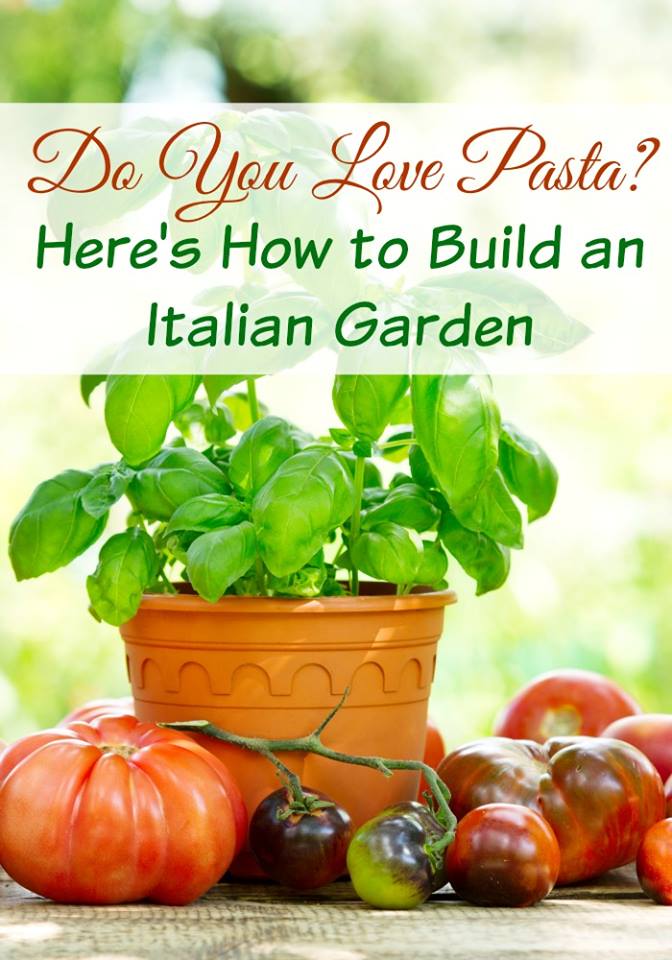 How To Grow An Italian Garden. Love pizza or Italian food? Imagine that you made them with fresh organic vegetables & herbs right from your own garden! growing herbs, container herb garden, DIY garden projects