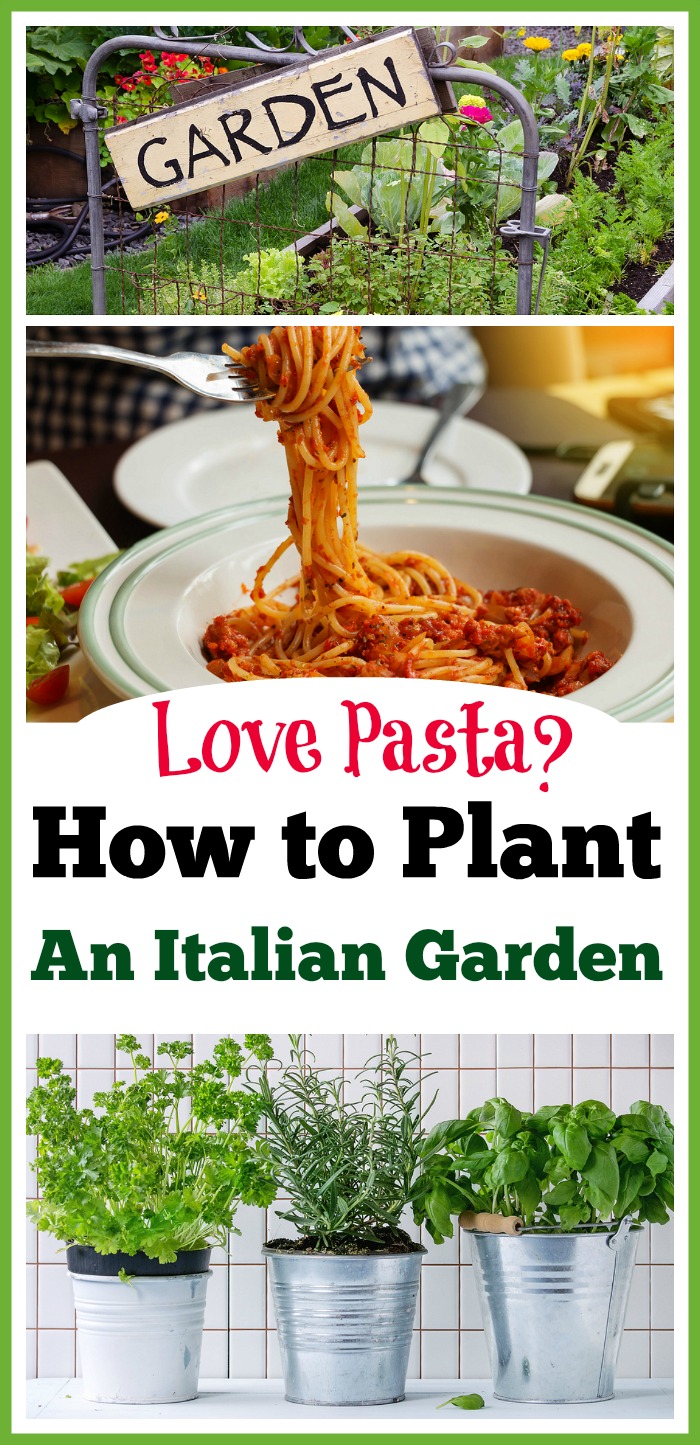 Πώς να φυτέψετε έναν ιταλικό κήπο.  Αγαπάτε την πίτσα ή το ιταλικό φαγητό;  Φανταστείτε ότι τα φτιάξατε με φρέσκα βιολογικά λαχανικά και βότανα απευθείας από τον κήπο σας!  καλλιέργεια βοτάνων, κήπος με βότανα δοχείων, έργα κήπου DIY