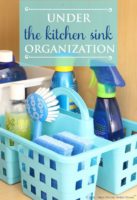 How To Organize Under The Kitchen Sink- A Cultivated Nest