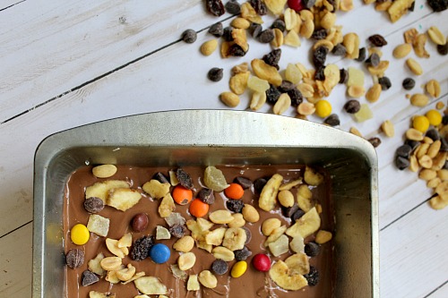 Trail Mix Candy Chocolate Bark- This trail mix candy chocolate bark is the perfect combo of sweet chocolate and crunchy add-ins. And since it's a no-bake recipe, its easy to make! | dessert, snack, nuts, raisins, M&Ms, dried fruit, easy