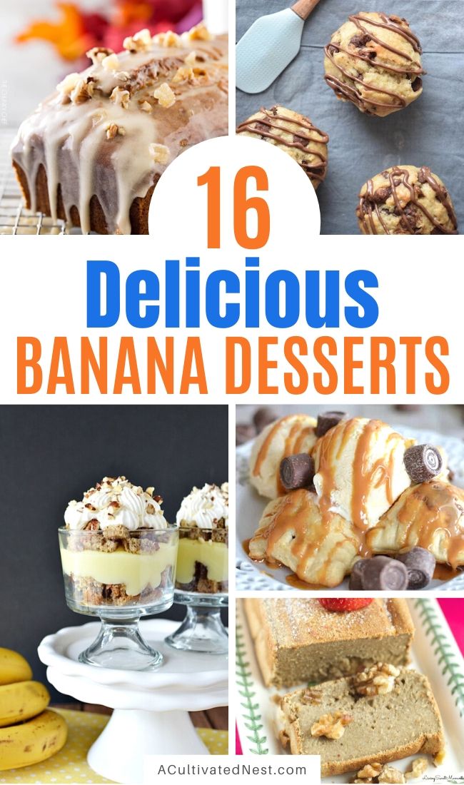 16 Delicious Ways to Enjoy Bananas- Instead of throw out old bananas, put them to use in these delicious banana dessert recipes! | what to do with brown bananas, ways to use up extra bananas, #bananas #recipe #dessert #baking #ACultivatedNest