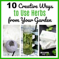 10 Creative Ways to Use Herbs from Your Garden