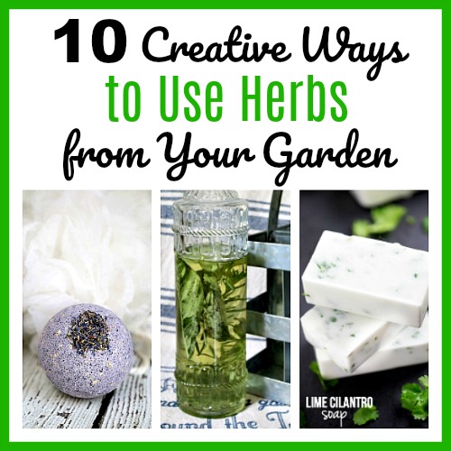 10 Creative Ways to Use Herbs from Your Garden- If you grew too many herbs, there are many different, fun ways to put them to use! Check out these creative ways to use herbs from your garden! | ways to use up extra herbs, lavender, sage, rosemary, cilantro, homemade soap, DIY beauty products, grow your own herbs