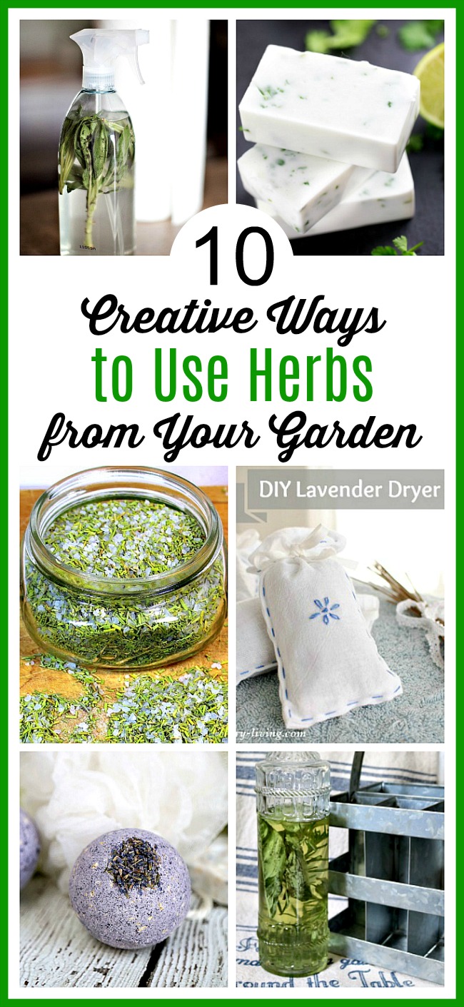 10 Creative Ways to Use Herbs from Your Garden