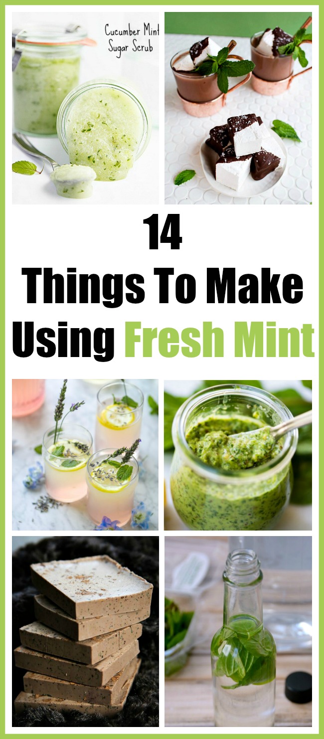 14 Things To Make Using Fresh Mint - Mint is one of the easiest plants to grow! Today I'm sharing 14 creative ways to use fresh mint. How to store fresh mint, what to do with fresh mint, mint leaves, mint recipes, benefits of mint, herbs, mint beauty recipes