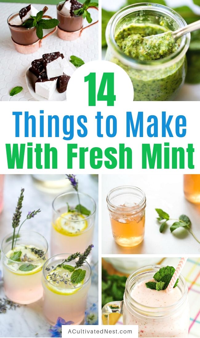 14 Things To Make Using Fresh Mint- If you have extra fresh mint from your herb garden or the grocery store, here are some tasty ways to put it to use! | #herbs #recipe #food #mint #ACultivatedNest