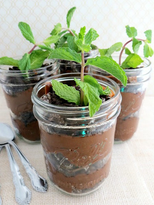 14 Things To Make Using Fresh Mint - Mint is one of the easiest plants to grow! Today I'm sharing 14 creative ways to use fresh mint. | How to store fresh mint, what to do with fresh mint, mint leaves, mint recipes, benefits of mint, herbs, mint beauty recipes #mint #herbs #recipes #desserts #ACultivatedNest