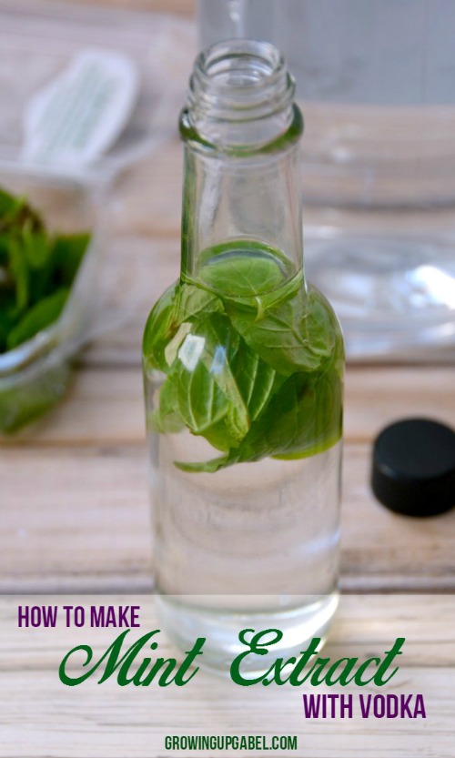 14 Things To Make Using Fresh Mint - Mint is one of the easiest plants to grow! Today I'm sharing 14 creative ways to use fresh mint. | How to store fresh mint, what to do with fresh mint, mint leaves, mint recipes, benefits of mint, herbs, mint beauty recipes #mint #herbs #recipes #desserts #ACultivatedNest