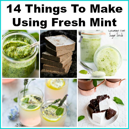 14 Things To Make Using Fresh Mint - A Easy To Grow Herb