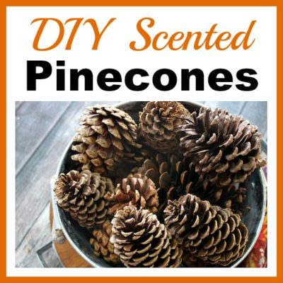 DIY Scented Pinecones