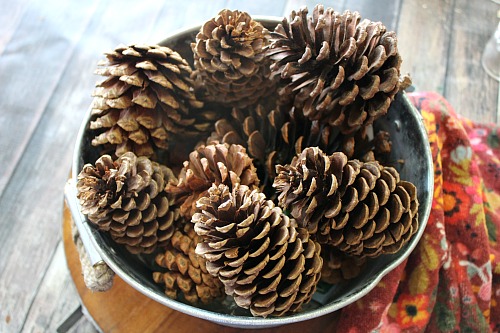 DIY Scented Pinecones- I love to make DIY scented pinecones to create a feast for the nose as well as the eyes and create that welcoming home scent throughout the holidays! | easy craft, homemade scented pinecones, fall decor, Christmas decor, winter decor, #pinecones
