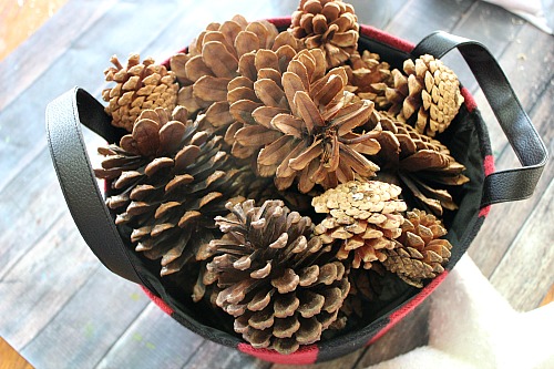 DIY Scented Pinecones- Perfect for Your Fall and Winter Decor!