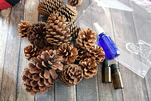 DIY Scented Pinecones- I love to make DIY scented pinecones to create a feast for the nose as well as the eyes and create that welcoming home scent throughout the holidays! | easy craft, homemade scented pinecones, fall decor, Christmas decor, winter decor, #pinecones