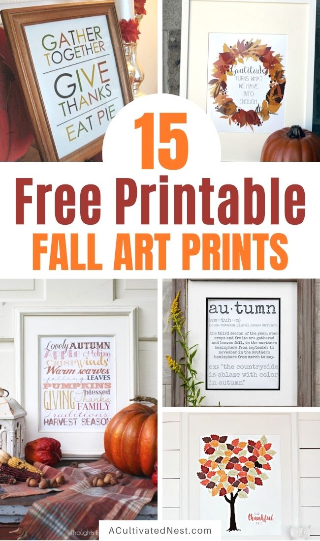 15 Gorgeous Fall Wall Art Printables- If you want to decorate your home for fall on a budget, you need to check out these gorgeous free fall wall art printables! | autumn, art print, leaf wreath printable, Thanksgiving printable, Halloween printable, #freePrintables #printable #fallDecor #wallArt #ACultivatedNest