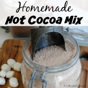 Homemade Hot Cocoa Mix