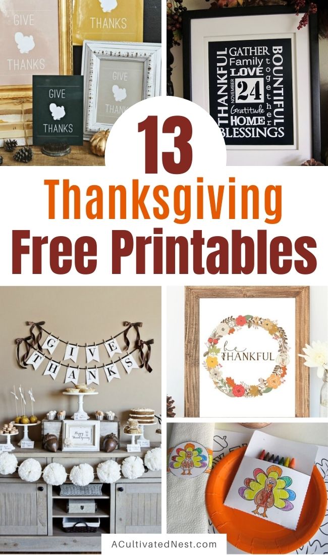 Free Thanksgiving Printables- If you want to decorate your home on a budget for Thanksgiving or keep your kids busy while you cook the big meal, then you need to check out these 13 free Thanksgiving printables! | #freePrintables #Thanksgiving #printables #wallArtPrintables #ACultivatedNest