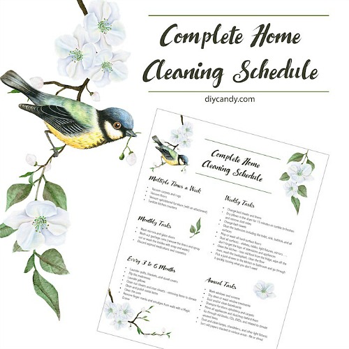 13 House Cleaning Schedules- These handy cleaning schedules will make keeping your home tidy easier! Many free printable cleaning schedules are included! | #freePrintables #cleaningSchedules #cleaningTips #printables #ACultivatedNest