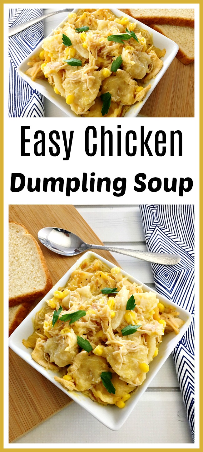 Easy Chicken Dumpling Soup