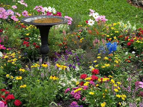 Create a Butterfly Garden