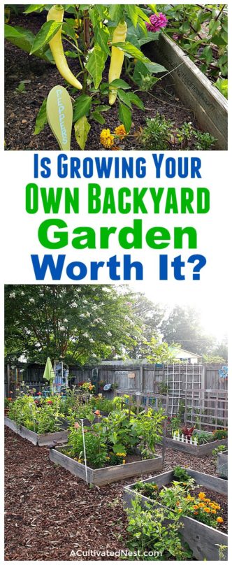 Is Growing Your Own Backyard Garden Worth It?- A Cultivated Nest