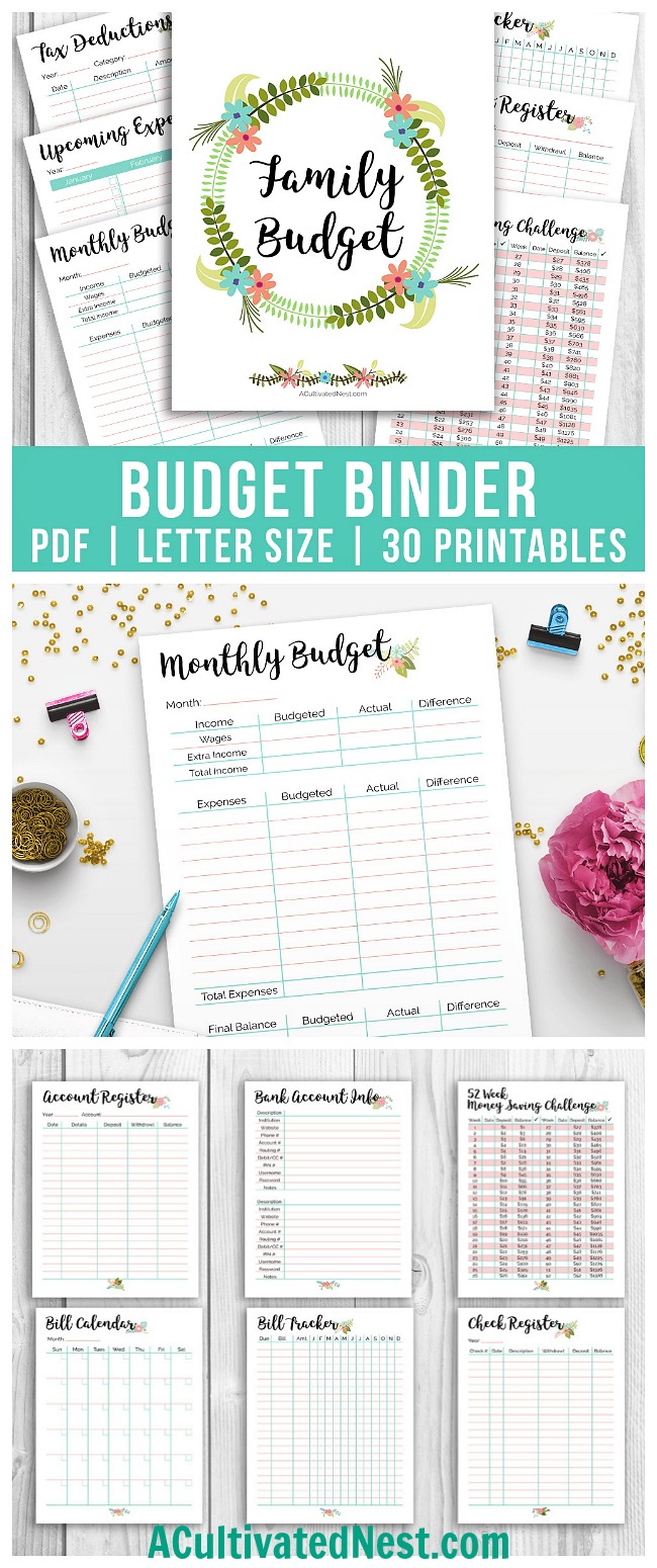 budget workbook with divders