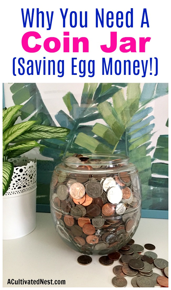 Why You Need a Coin Jar- Saving Egg Money- A really easy way to save money is with a coin jar! The coins add up quick, and soon you'll have money to put toward your expenses or to use as "egg money" (AKA fun money)! | modern-day piggy bank, #saveMoney #moneySavingTips #frugalLiving #frugal #coinJar #piggyBank #ACultivatedNest