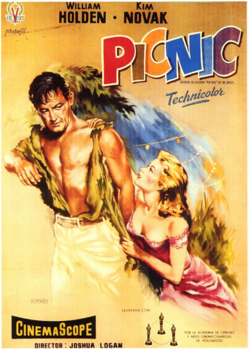 A Housewife's 1950s Movie Watch List- Picnic | classic movies to watch, must-see 1950s movies, grandma's favorite movies, what movies to rent, Amazon Instant Video, #movies #films #watchlist #1950s 