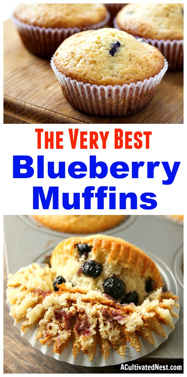 Homemade Blueberry Muffins- There's nothing better than a delicious, homemade blueberry muffin for breakfast or an afternoon snack! Check out this recipe to find out how to make delicious blueberry muffins at home! | #recipe #baking #muffins #blueberries #food #breakfast #dessert #snack #berries #homemade