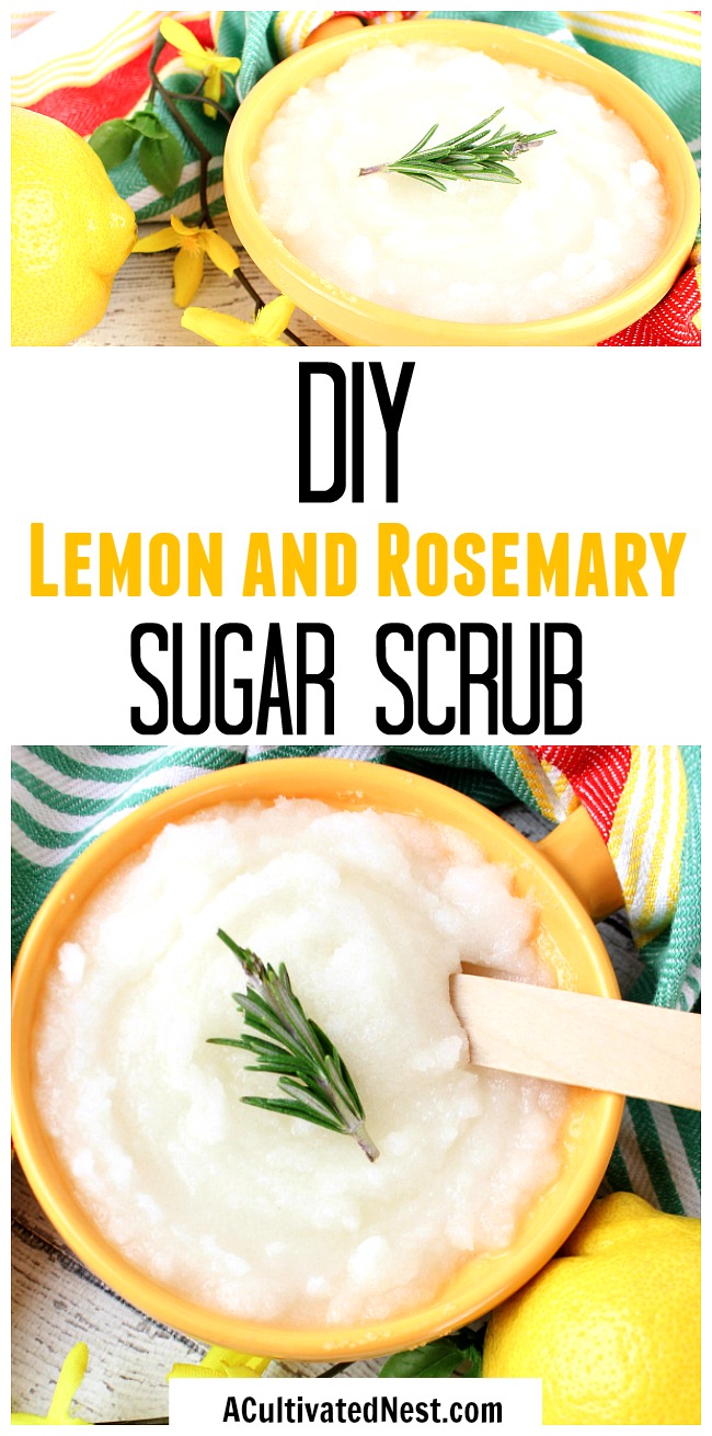 DIY Lemon and Rosemary Sugar Scrub- Scrub off old skin and leave nourished, healthy skin behind with this DIY lemon and rosemary sugar scrub! This homemade scrub feels great, smells great, and makes a great DIY gift! | #DIY #homemade #sugarScrub #beauty #diyGift #bodyScrub #faceScrub #handScrub