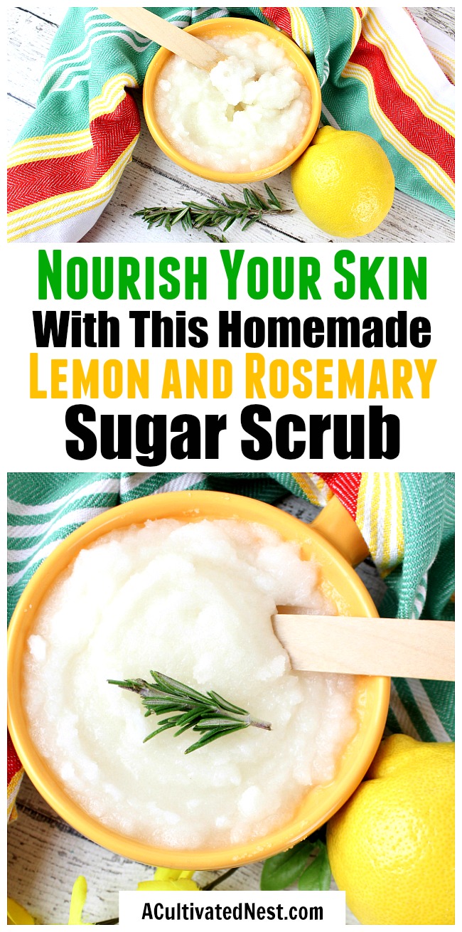 DIY Lemon and Rosemary Sugar Scrub- Tired of your skin looking dull? Make it moisturized and beautiful by using this DIY lemon and rosemary sugar scrub! It's easy to make, smells great, and even makes a great homemade gift! | #DIY #homemade #bodyScrub #beauty #diyGift #sugarScrub #faceScrub #handScrub