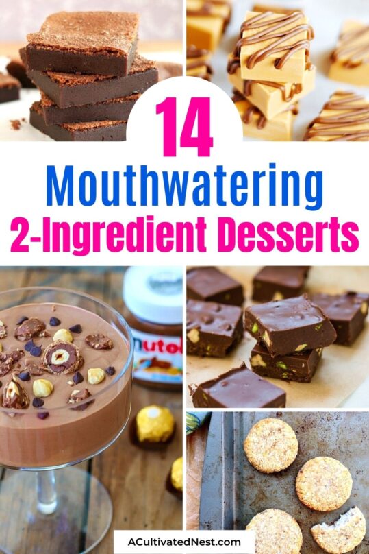 14 Mouth-Watering 2-Ingredient Desserts- A Cultivated Nest