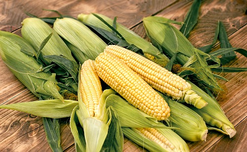 Frugal Vegetables Your Grandma Used to Grow in Her Garden- Corn. | #backyardGarden #saveMoney #frugal #growYourOwn #vegetables #frugalLiving #moneySaving #moneySavingTips #gardening #garden