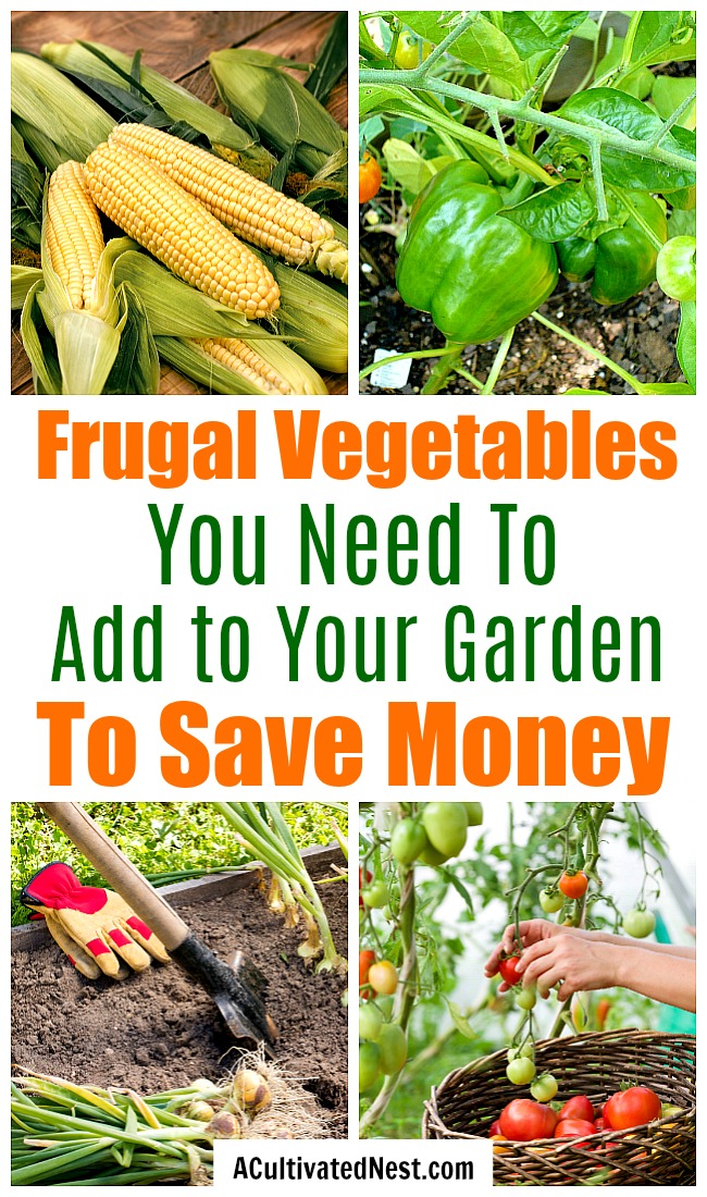 Frugal Vegetables Your Grandma Used to Grow in Her Garden