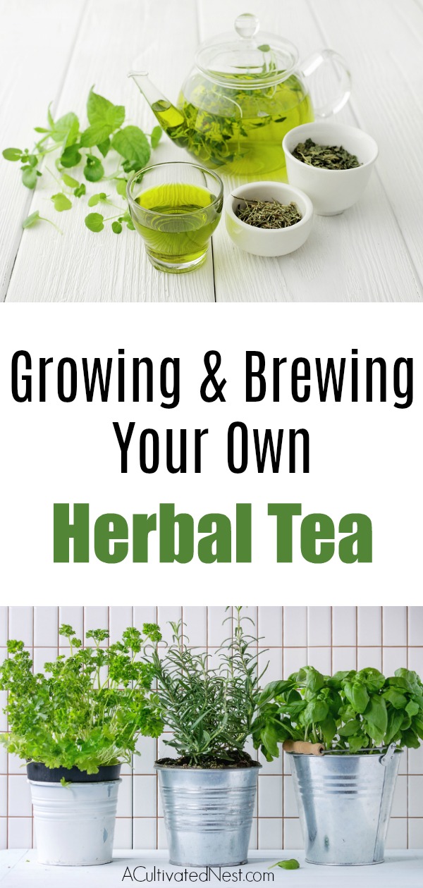 How To Grow An Herbal Tea Garden- Love herb tea? See how simple it can be to grow your own herbal tea garden! First, let’s look at the types of herbs ideal for tea making & we've included some recipes too. | Growing herbs, herbal tea garden, herbal tea, gardening, tea recipes