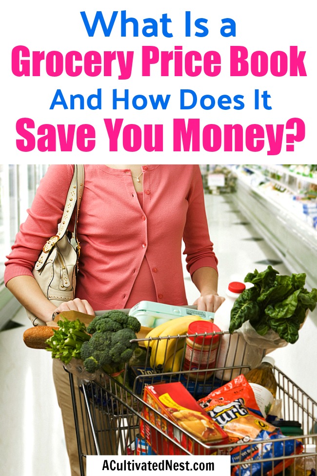 What is a Grocery Price Book and How Does it Save You Money?