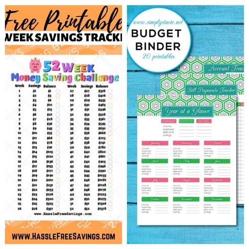 10 Free Printables to Save You Money + 10 More- A Cultivated Nest - These 15 free printables will save you money and keep your financial life organized. They're a must for any budget binder! | #ACultivatedNest