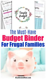 Organize Your Finances- Printable Budget Binder- Watercolor- A ...