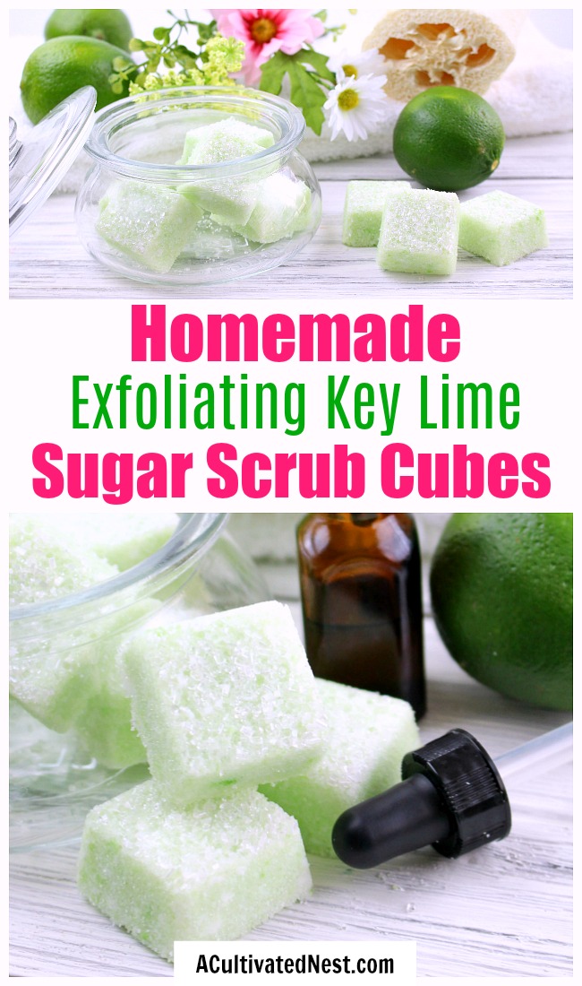 DIY Sugar Scrub Cubes: Key Lime- If you want to exfoliate your skin and make it shine, you have to make these key lime DIY sugar scrub cubes! They're so easy to make, and leave your skin looking beautiful! | sugar scrub bars, homemade body scrub, exfoliate, exfoliating, #DIY #sugarScrub #beauty #bodyScrub #diyGift #homemadeGift