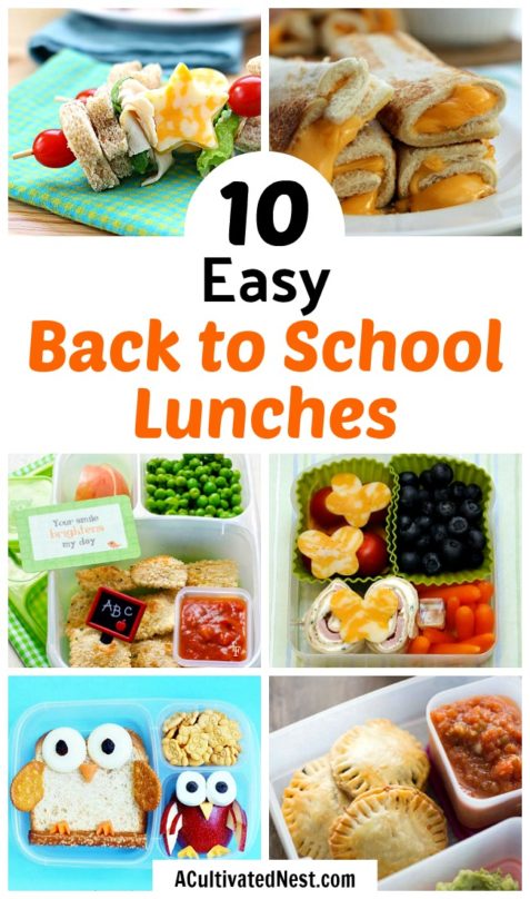 10 Easy Back to School Lunches- Fun School Lunch Recipes- A Cultivated Nest